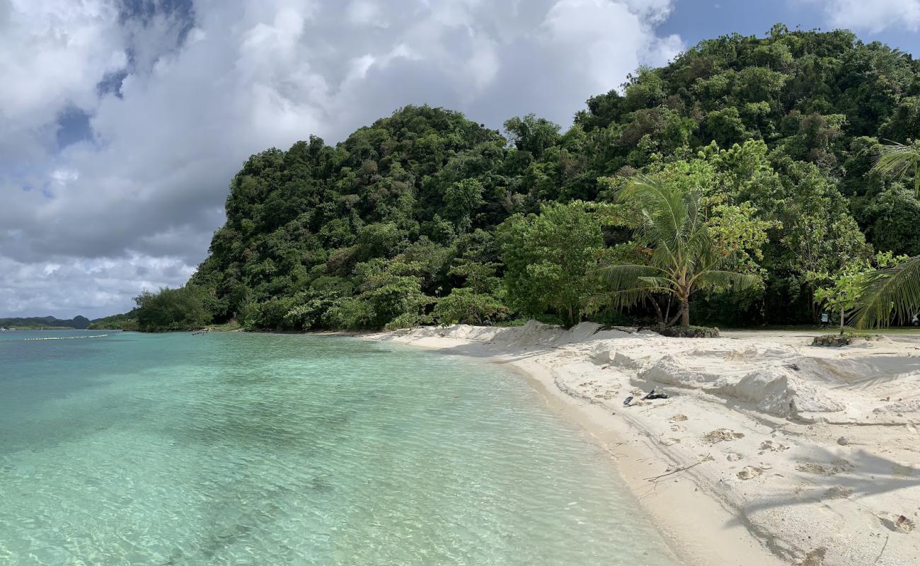 Photo of Long Island Park with white sand surface