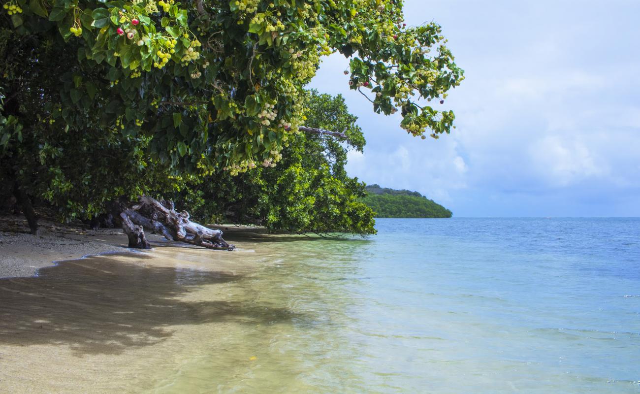 Photo of Coco Beach Resort with bright sand surface