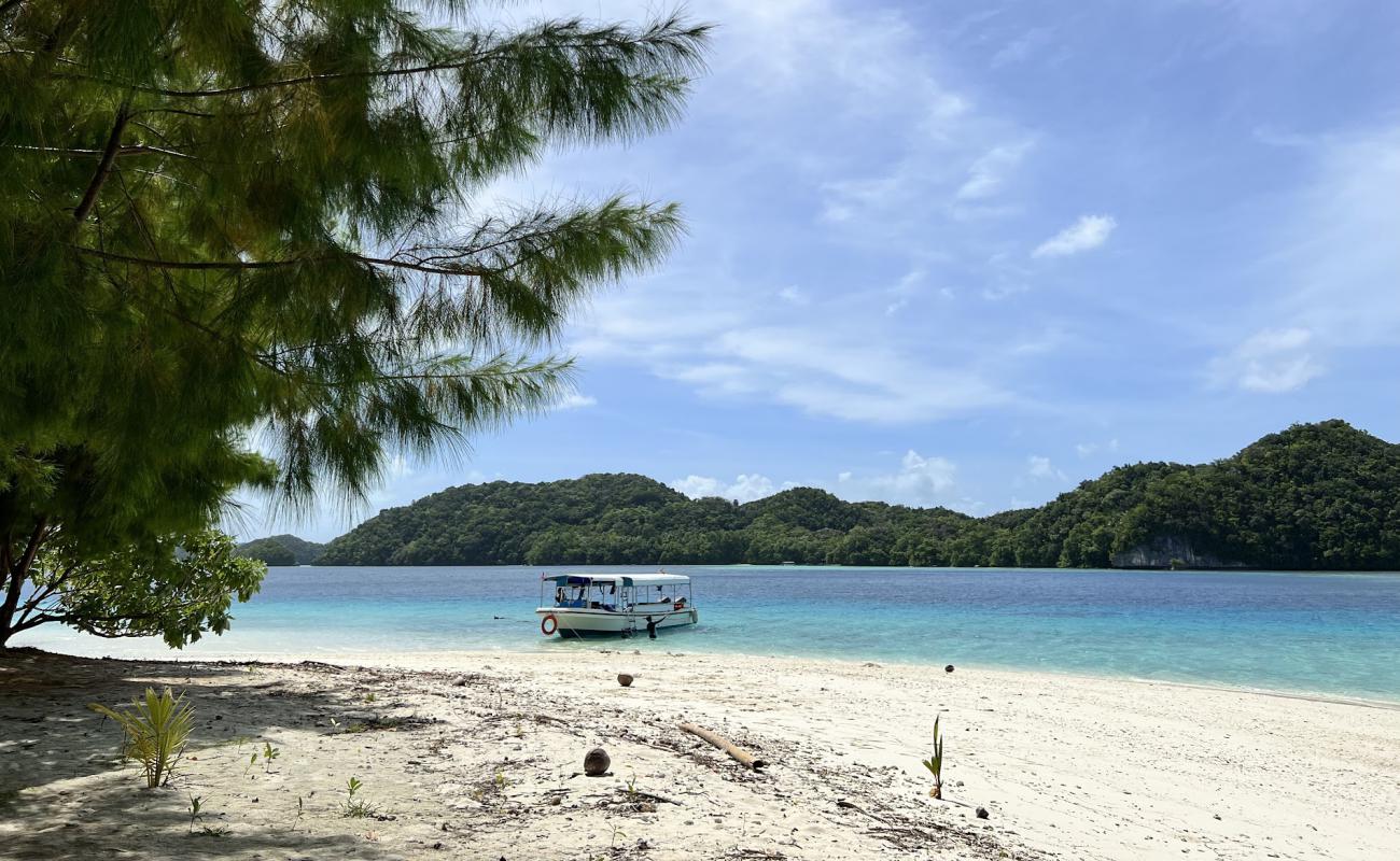 Photo of Ngermeaus Island Park with white sand surface