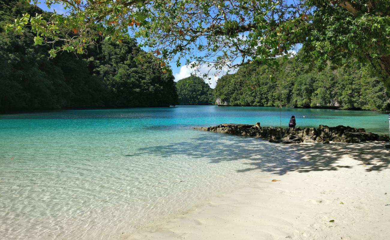 Photo of Ngchus Beach with white sand surface