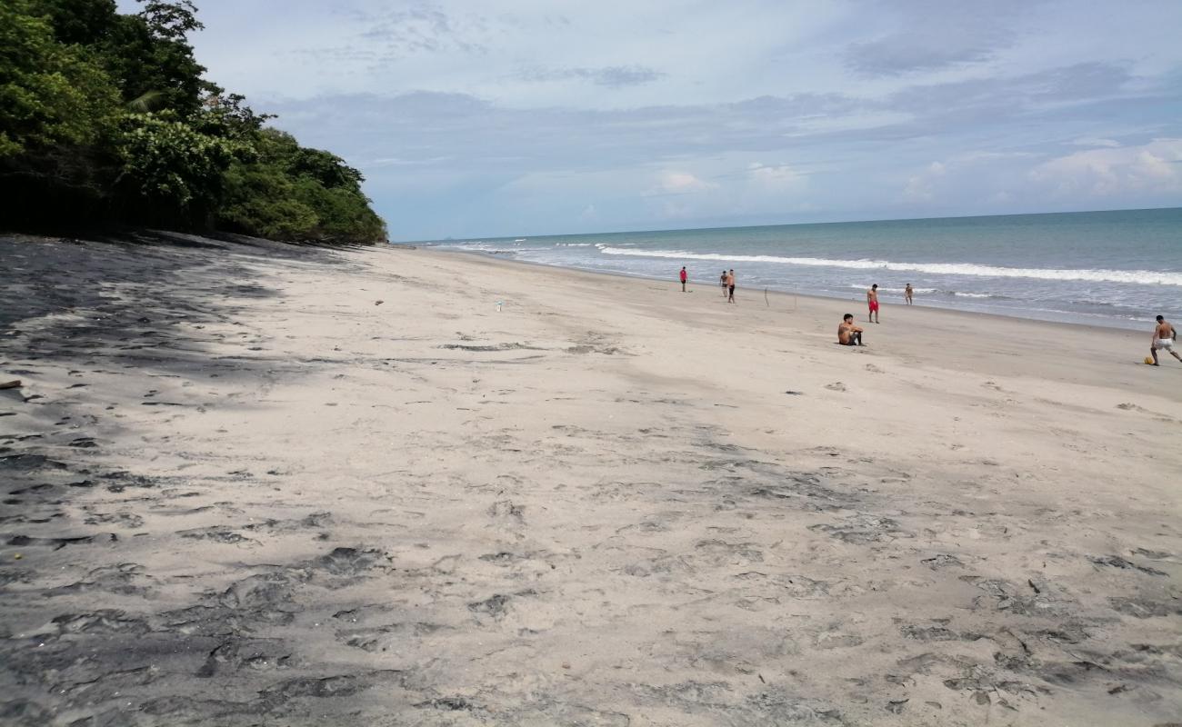 Photo of Los Panama Beach with gray sand surface