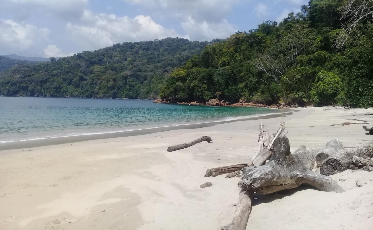 Photo of Tropic Star Beach with bright sand surface