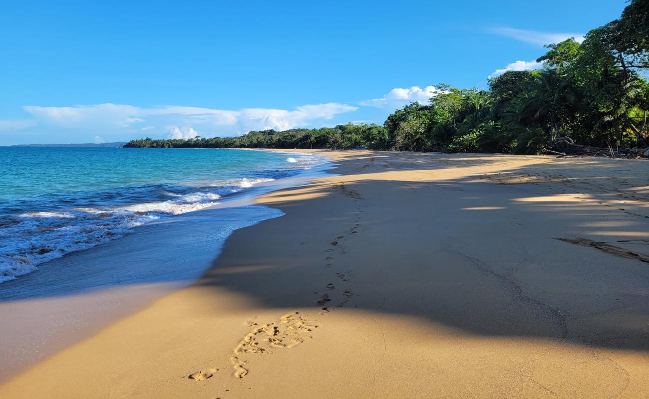 Photo of Bluff Beach with bright sand surface