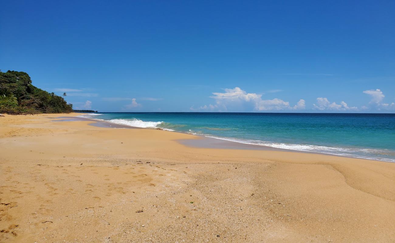 Photo of Escondida Beach with bright sand surface