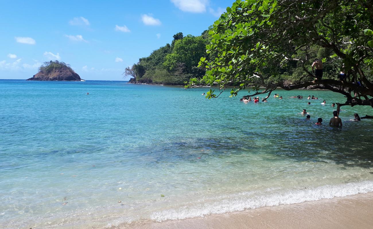 Photo of Huerta Portobelo Beach with bright sand surface