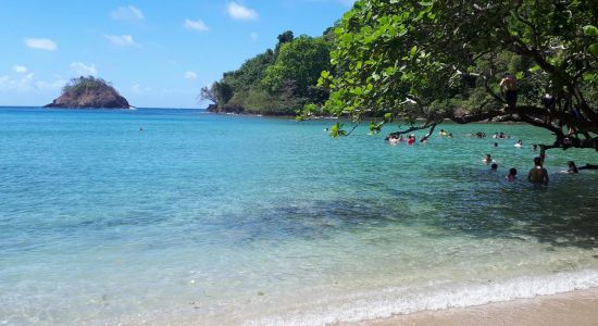 Huerta Portobelo Beach