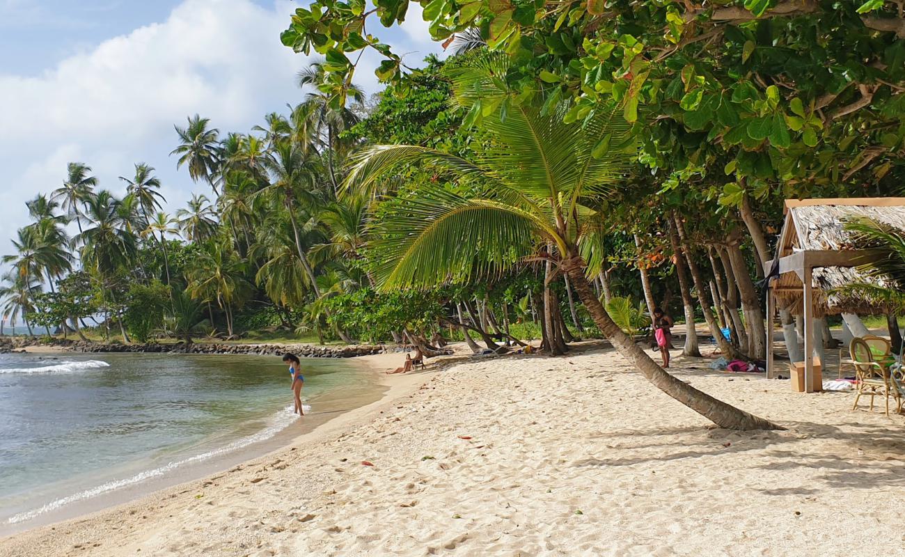 Photo of Mamey island Beach with bright sand surface