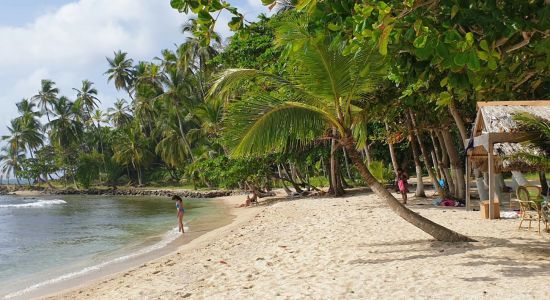 Mamey island Beach