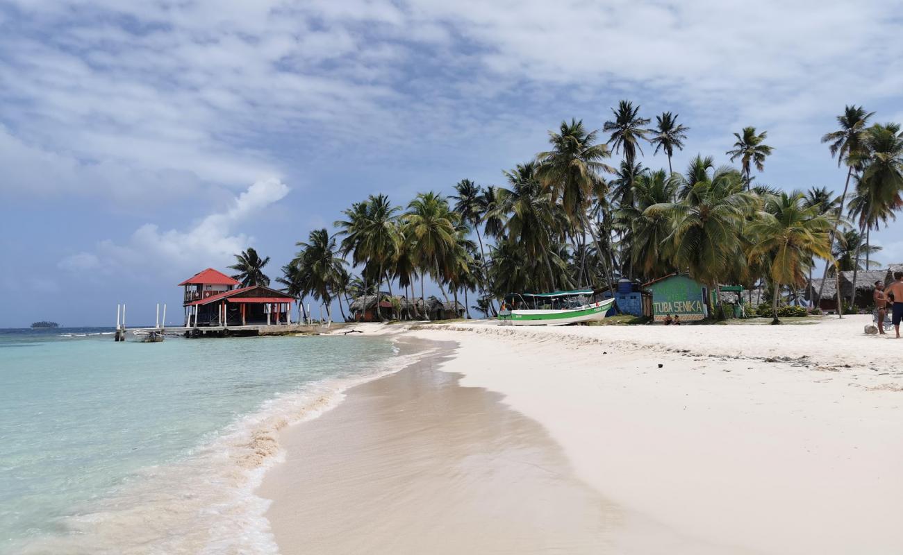 Photo of Islas Franklin Beach with bright fine sand surface