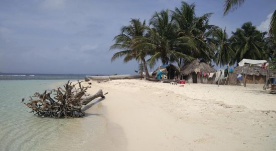 Coco Blanco Island baech