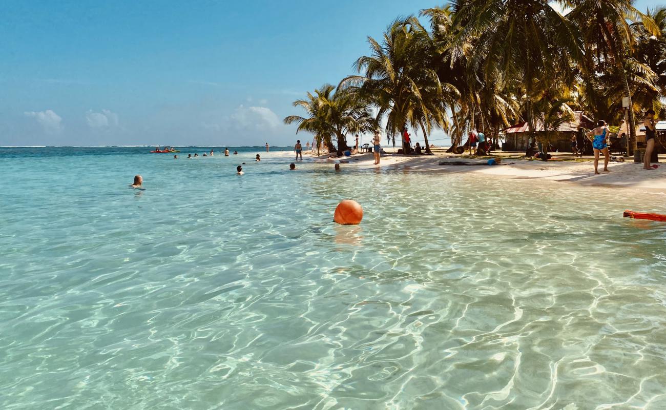 Photo of Winfli Sailtrip beach with white fine sand surface