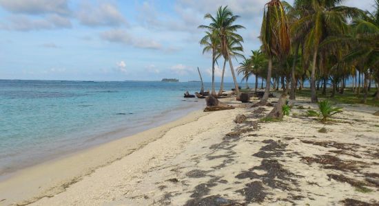 Curvaceous beach