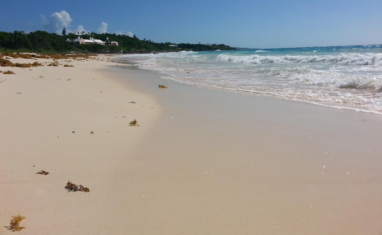 Photo of Grape Bay Beach with bright fine sand surface