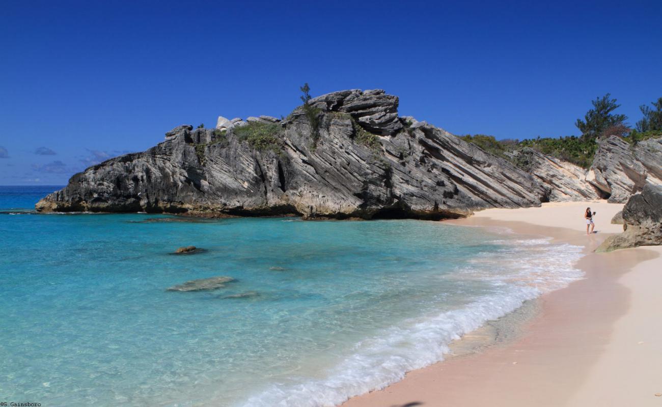 Photo of Elsbeth Beach with bright fine sand surface