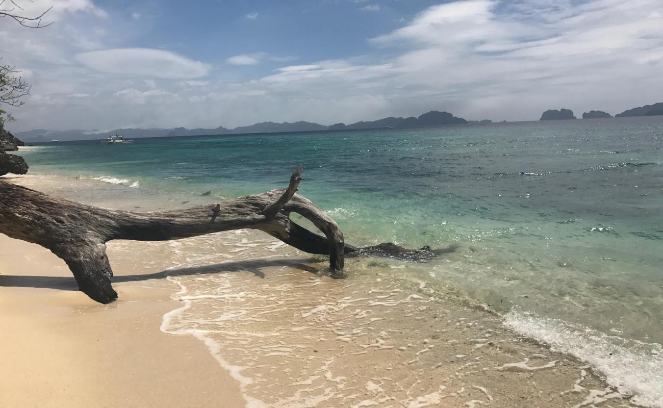 Photo of Ipil Beach with bright sand surface