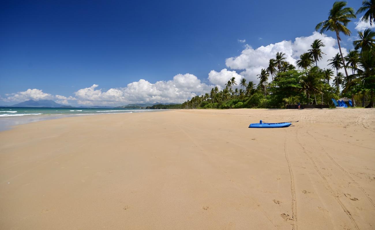 Photo of Long Beach with bright fine sand surface