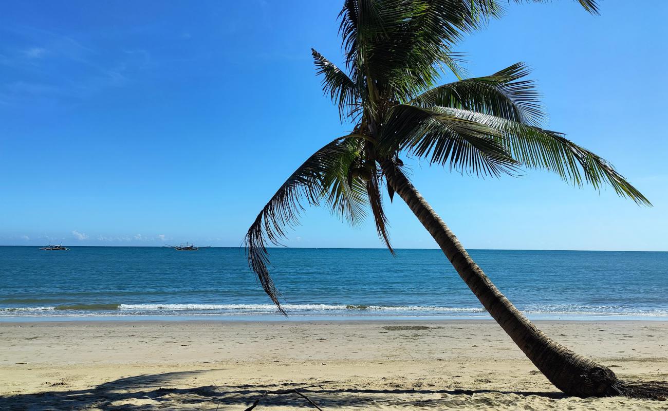 Photo of Sea Eagle Beach with bright fine sand surface