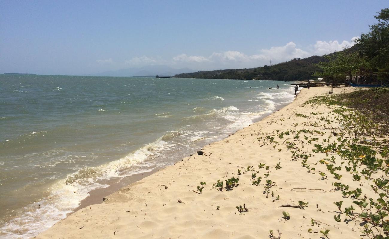 Photo of Coconut Beach with bright fine sand surface