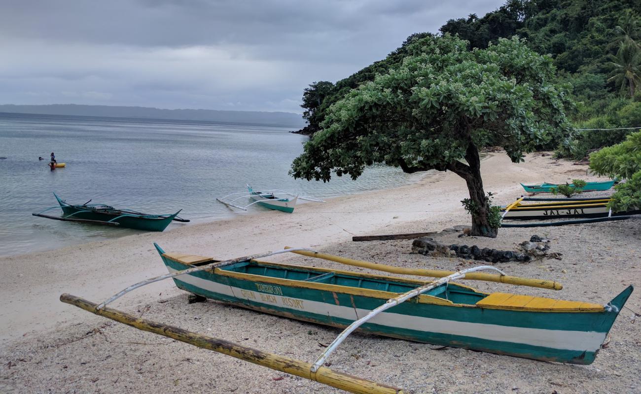 Photo of Tambaron Green Beach Resort with bright sand surface