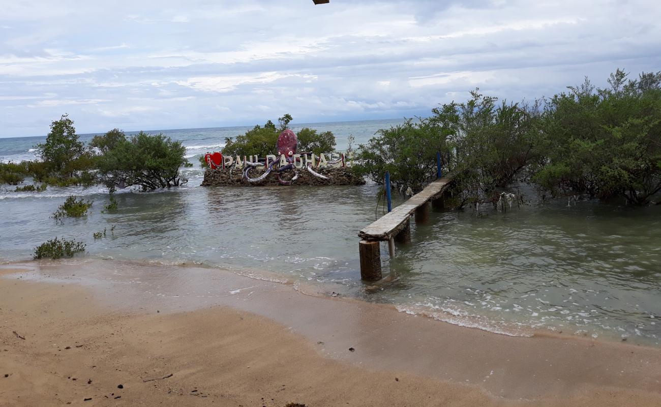 Photo of CPAC Beach with bright sand surface