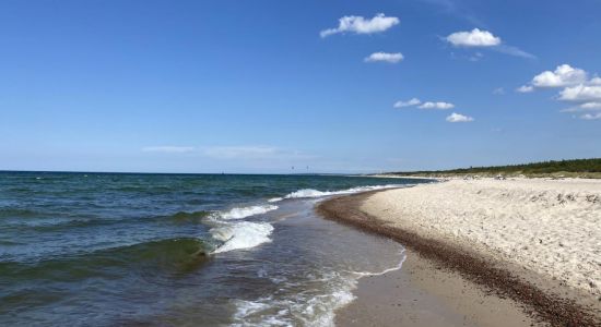 Ledowo Beach