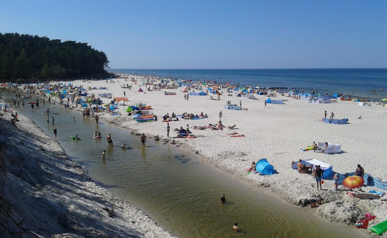 Photo of Pyasnitsa Beach (nr 25) with bright fine sand surface