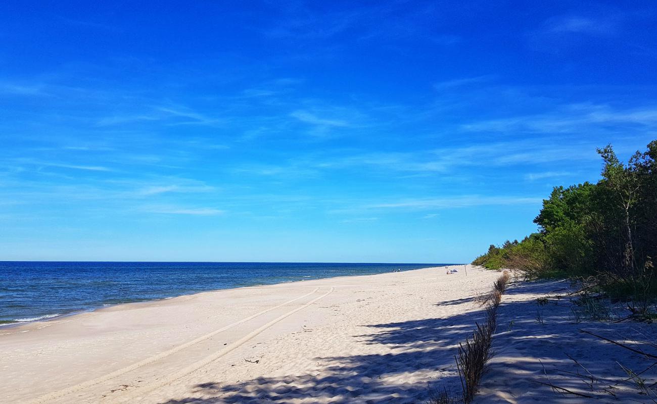 Photo of Kuznica Dog Beach with bright fine sand surface