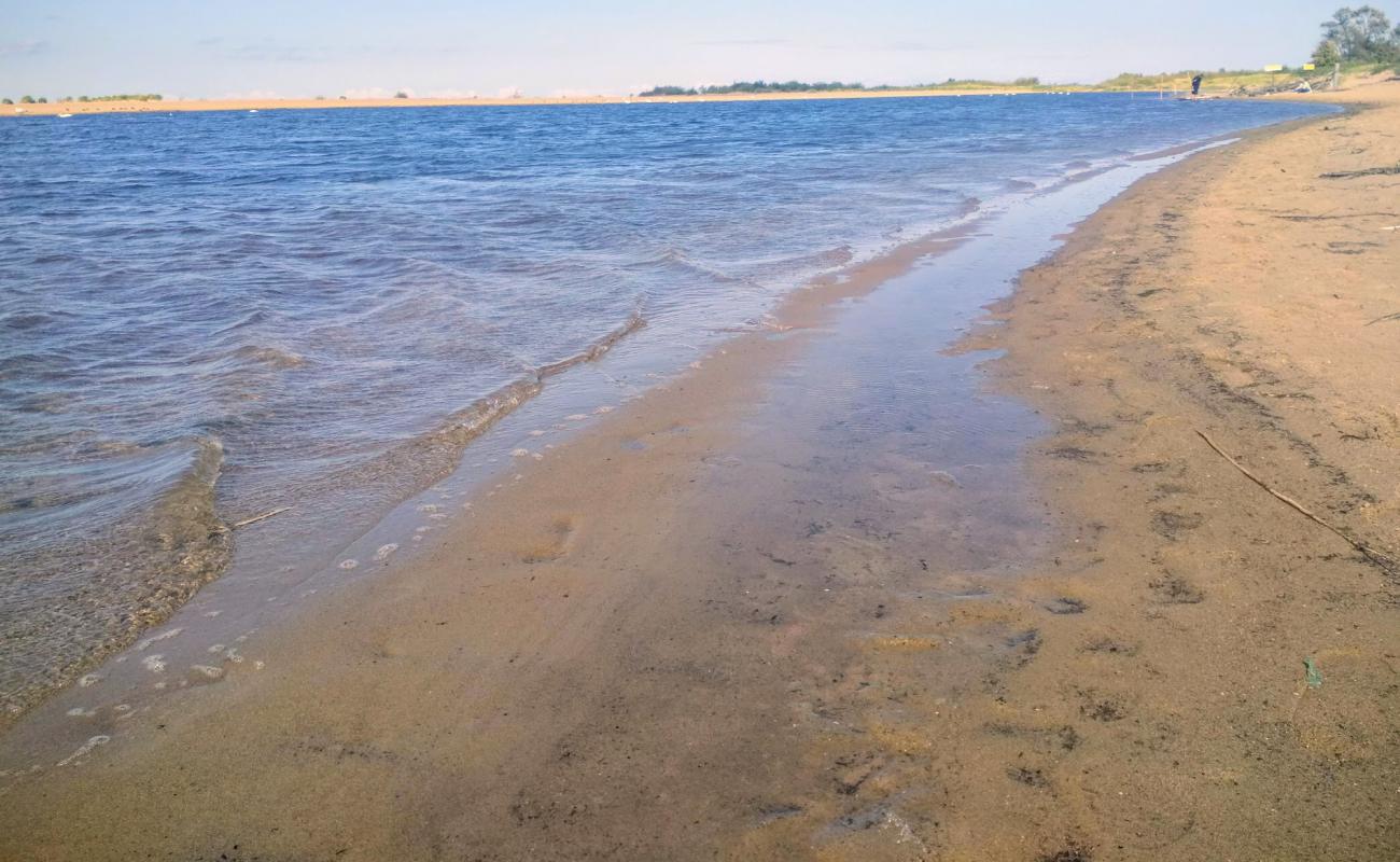 Photo of Vitsula beach Gdansk with bright sand surface