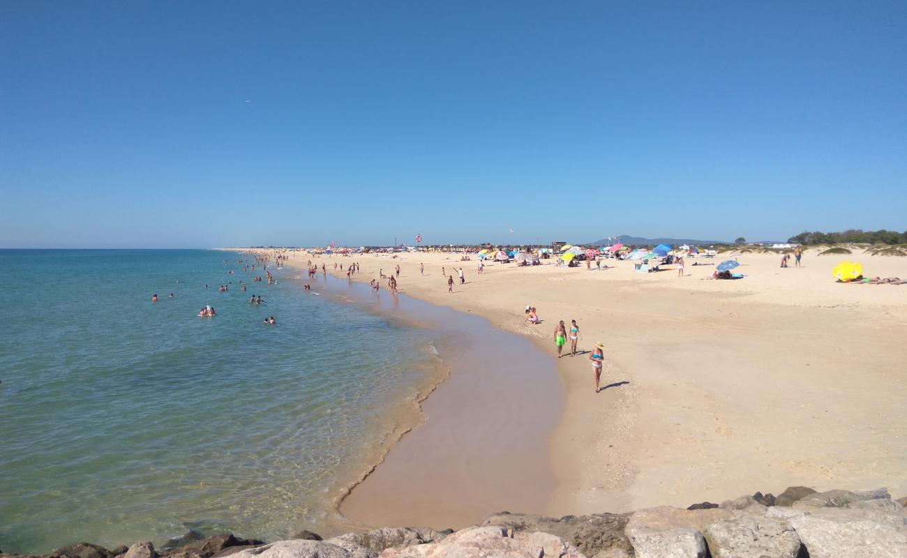 Photo of Tavira Island Beach with bright fine sand surface