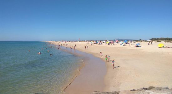 Tavira Island Beach