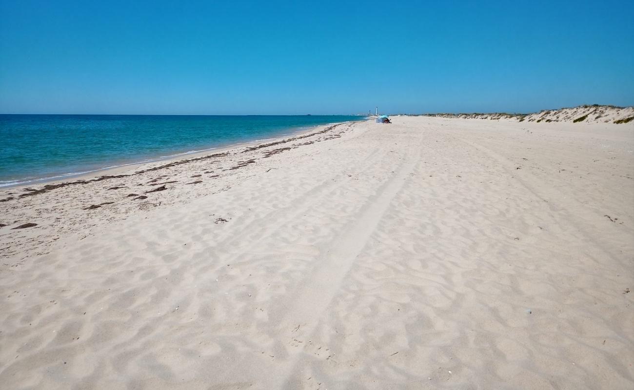 Photo of Ilha da Culatra with bright fine sand surface