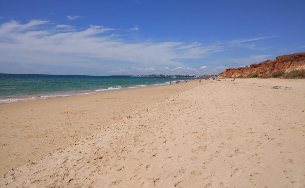 Photo of Tomatoes Beach with brown fine sand surface