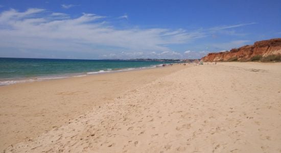 Tomatoes Beach