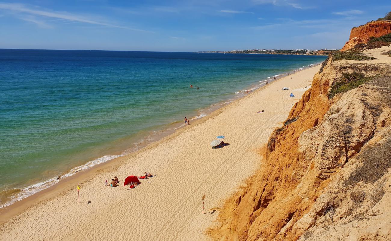 Photo of Falesia Beach with brown sand surface