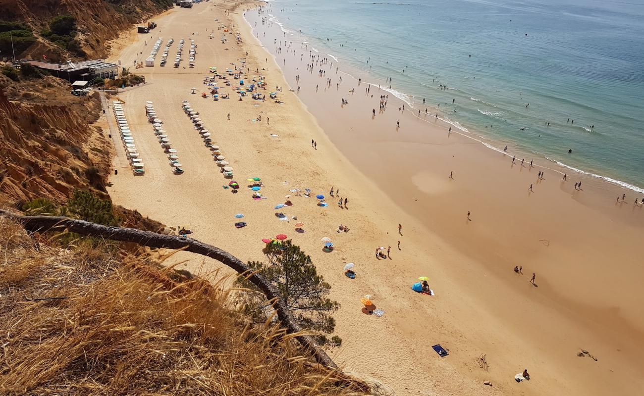 Photo of Barranco das Belharucas with brown fine sand surface