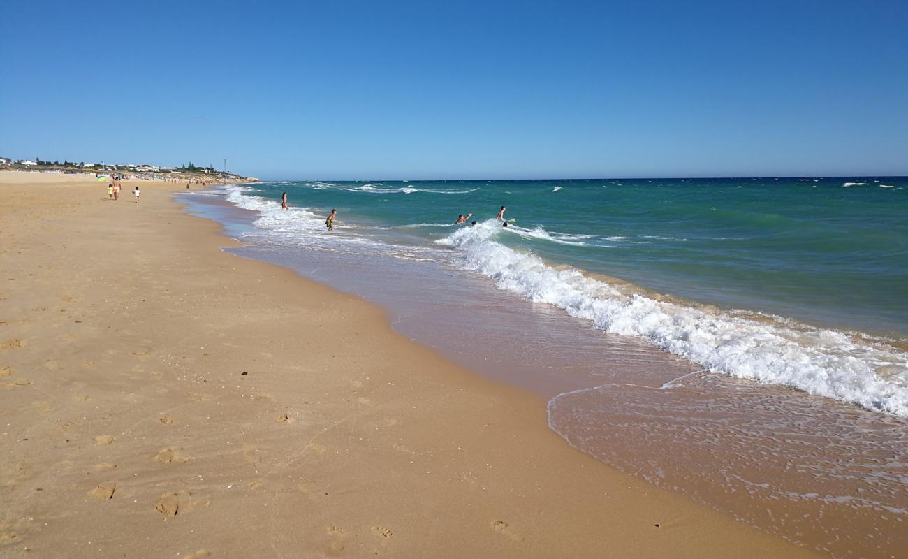 Photo of Praia dos Salgados with brown fine sand surface