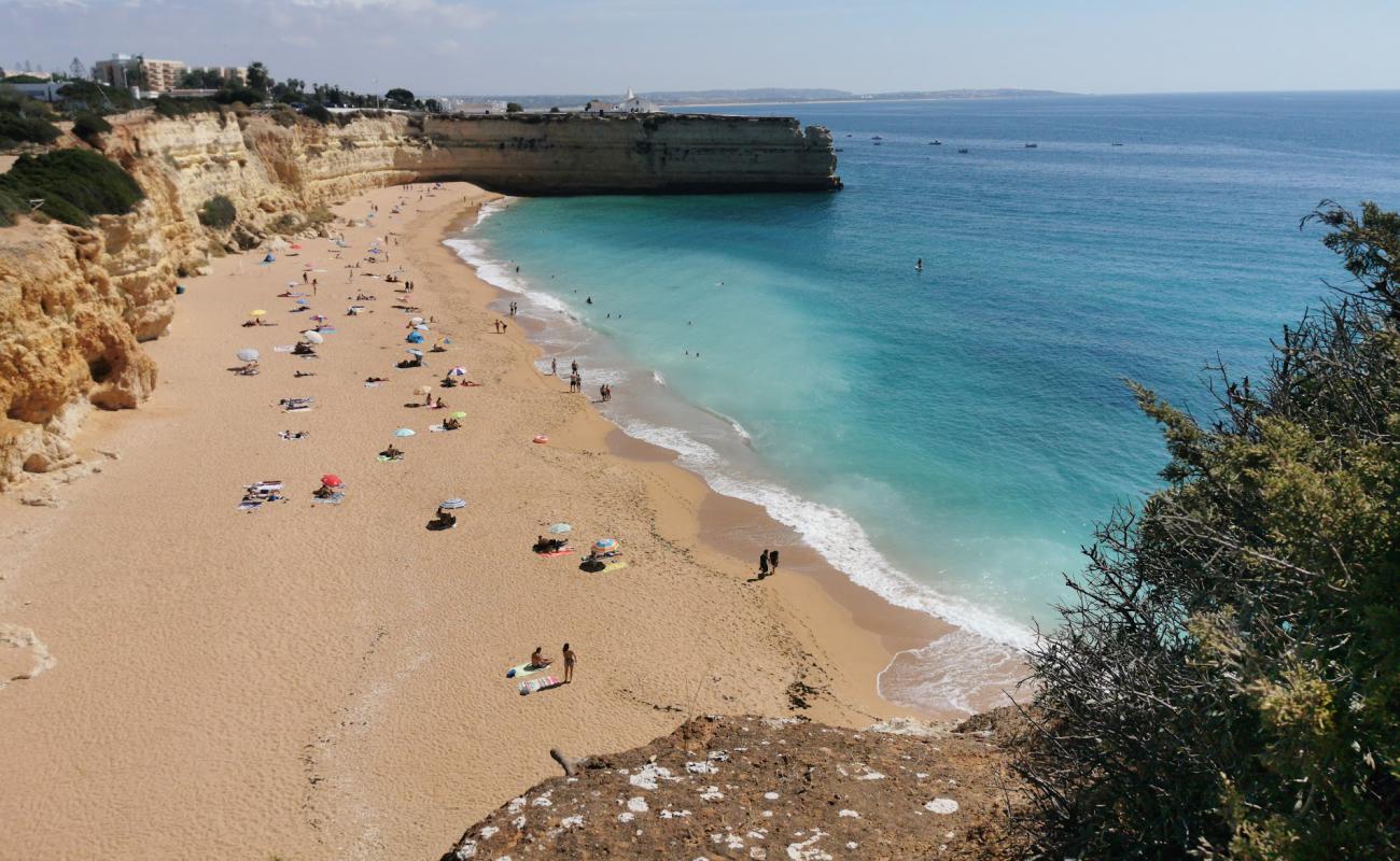 Photo of Nova Beach with brown fine sand surface