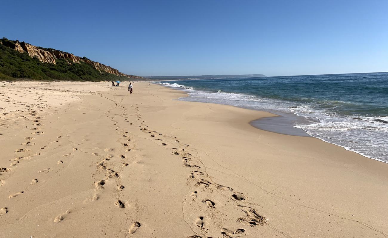 Photo of Praia da Fonte da Telha with white fine sand surface