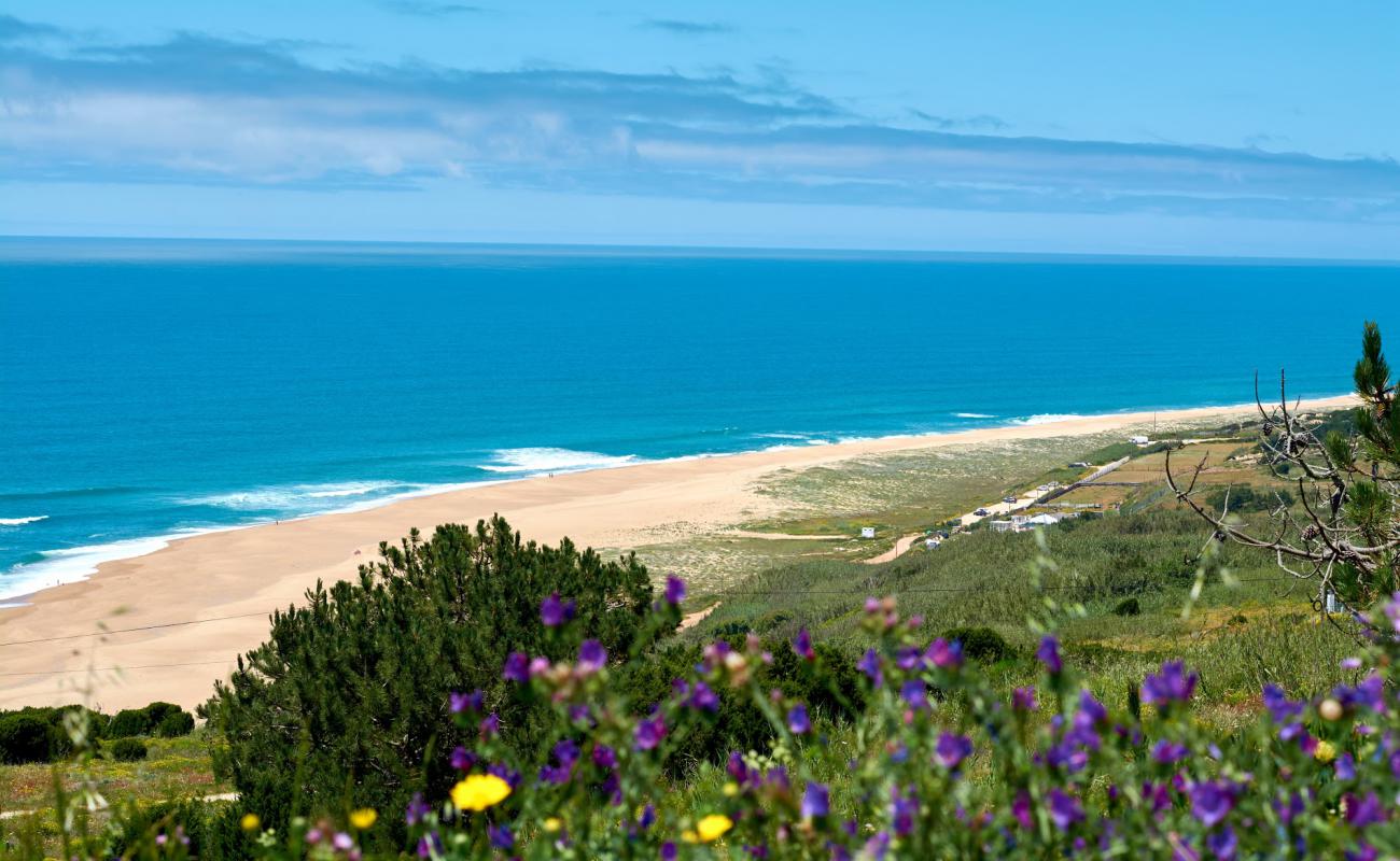 Photo of North Beach with bright fine sand surface