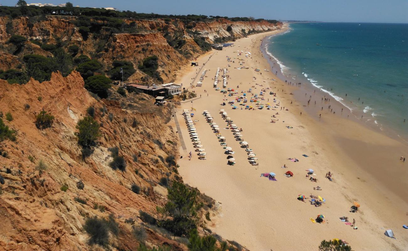 Photo of Praia da falesia with bright fine sand surface