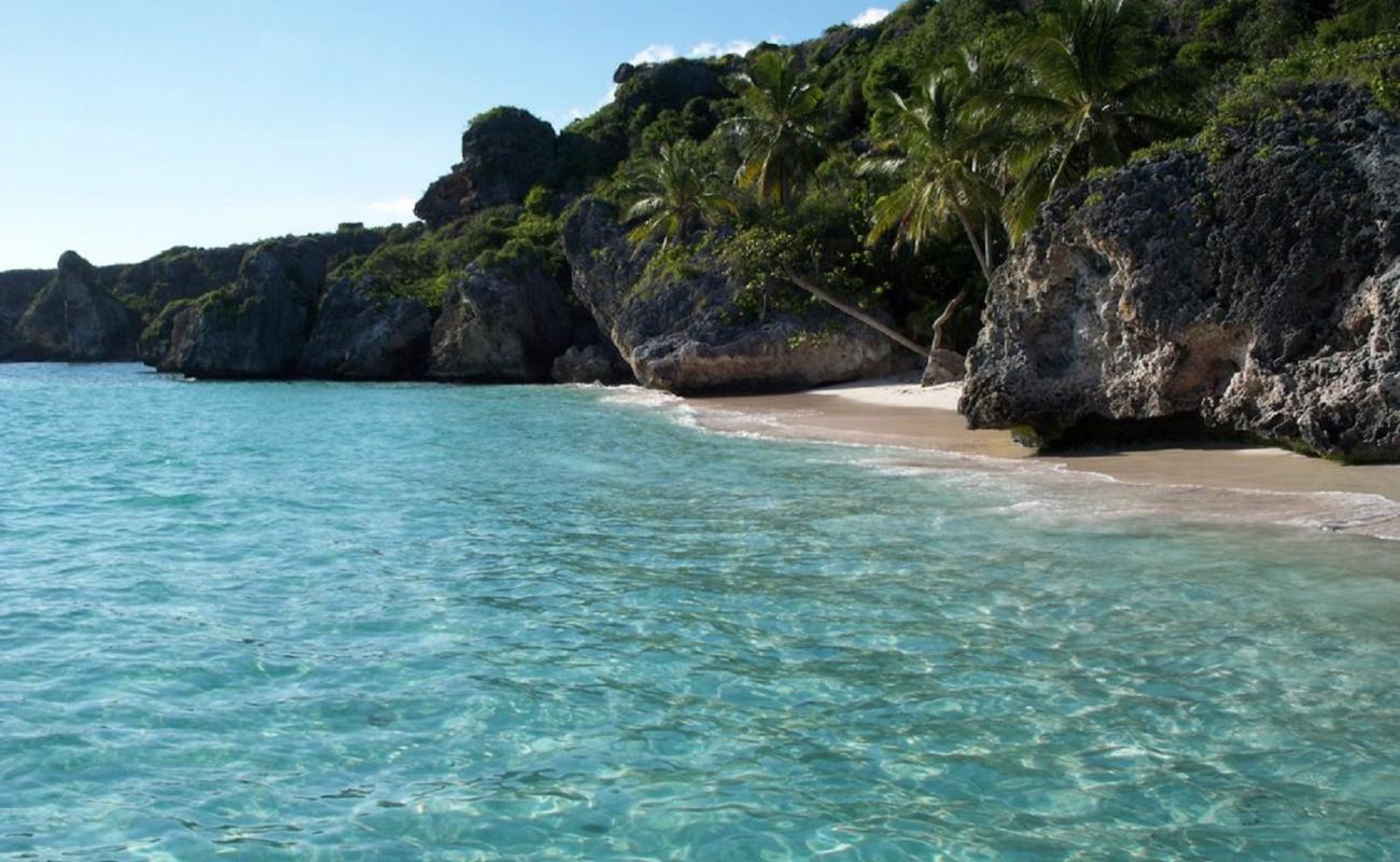 Photo of Brava beach with bright fine sand surface