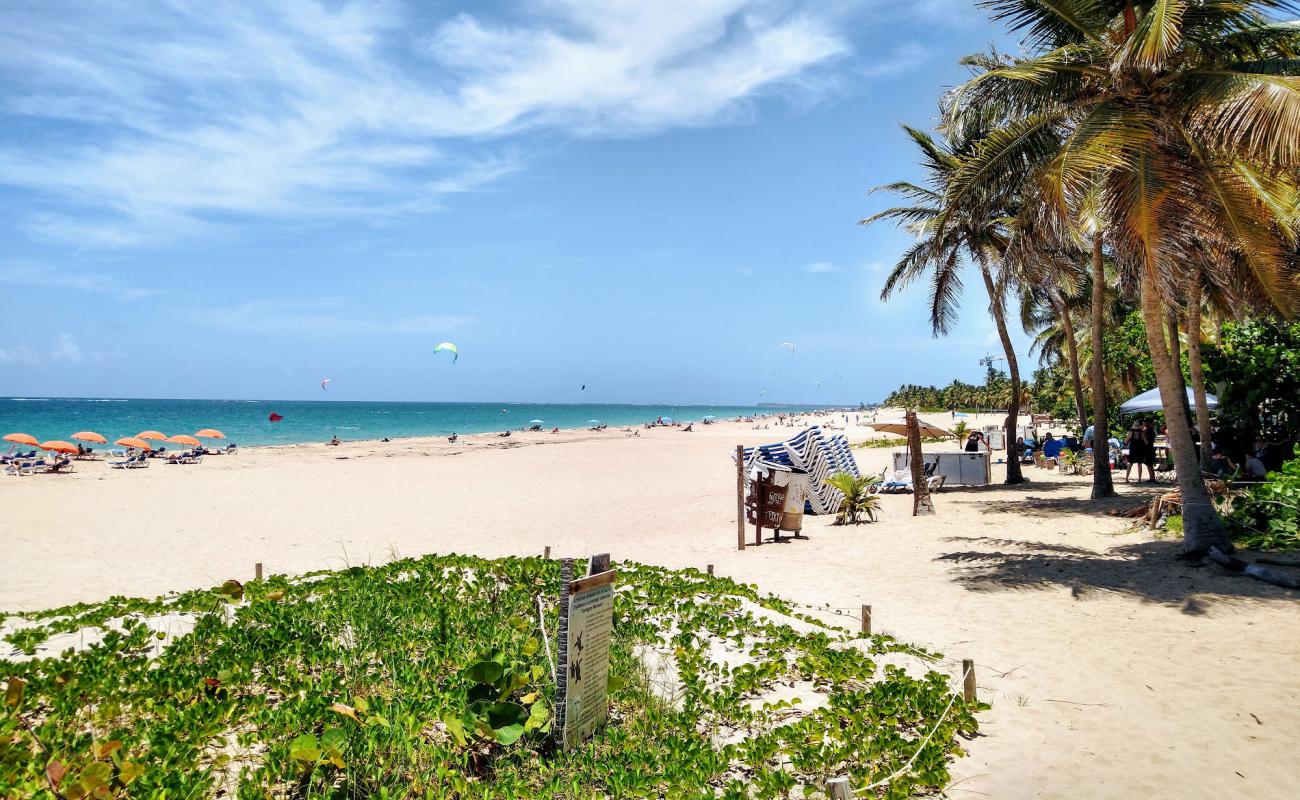 Photo of Ocean Park beach with bright fine sand surface