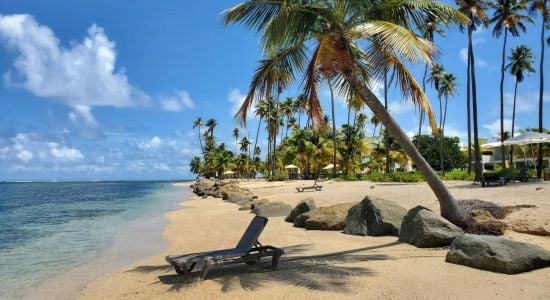 Punta Miquillo Beach