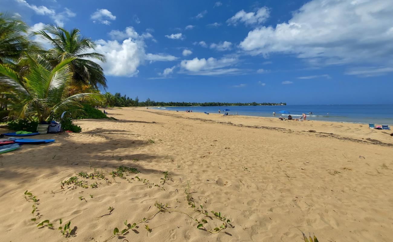 Photo of Playa las Picuas with bright sand surface