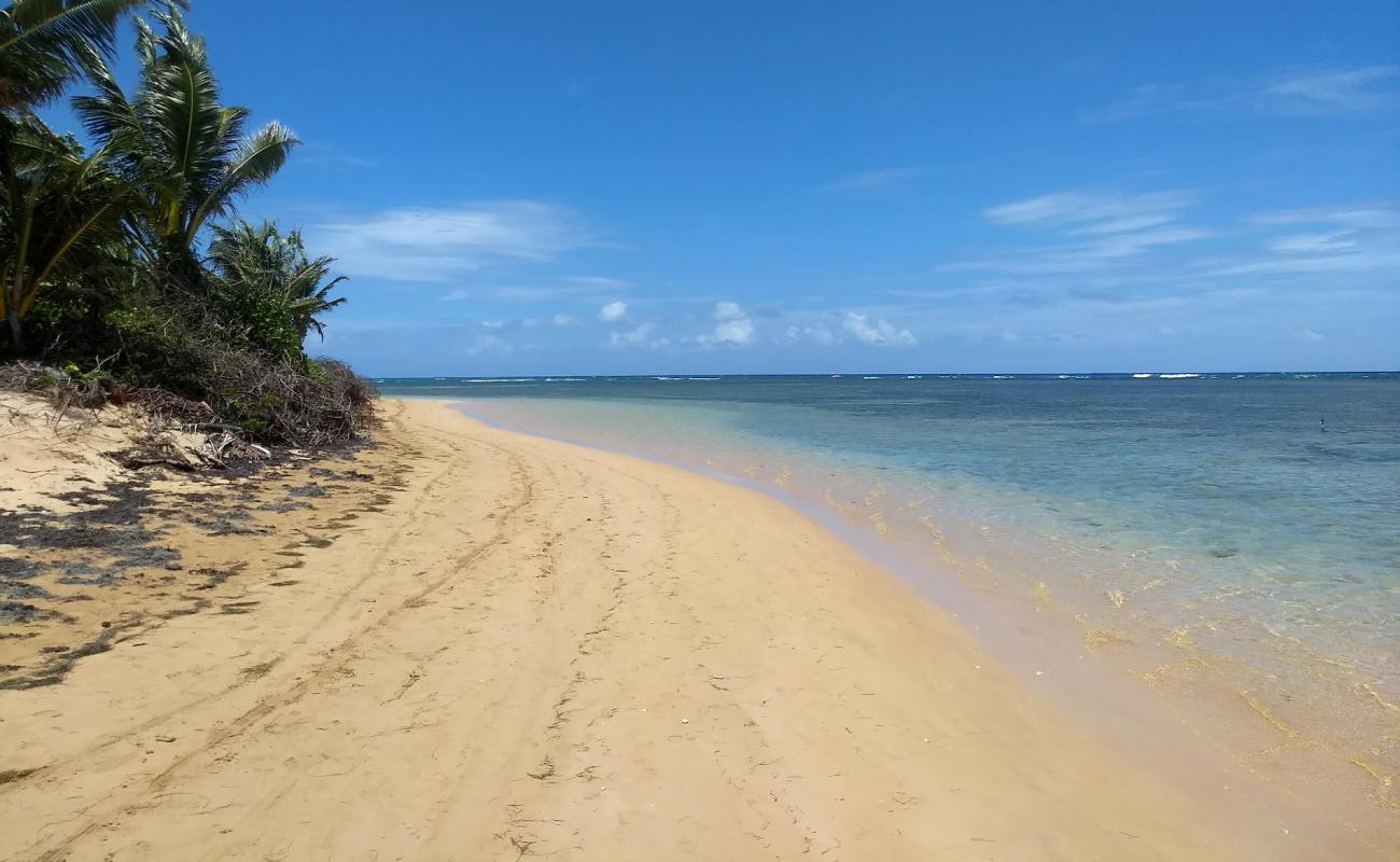 Photo of Punta Bandera Beach with bright fine sand surface