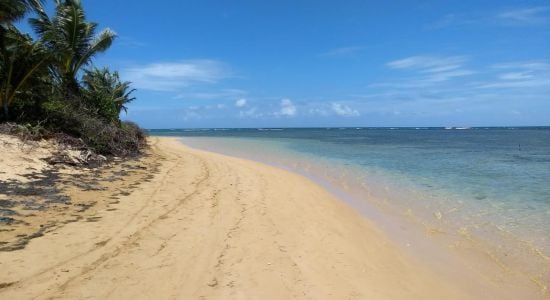 Punta Bandera Beach