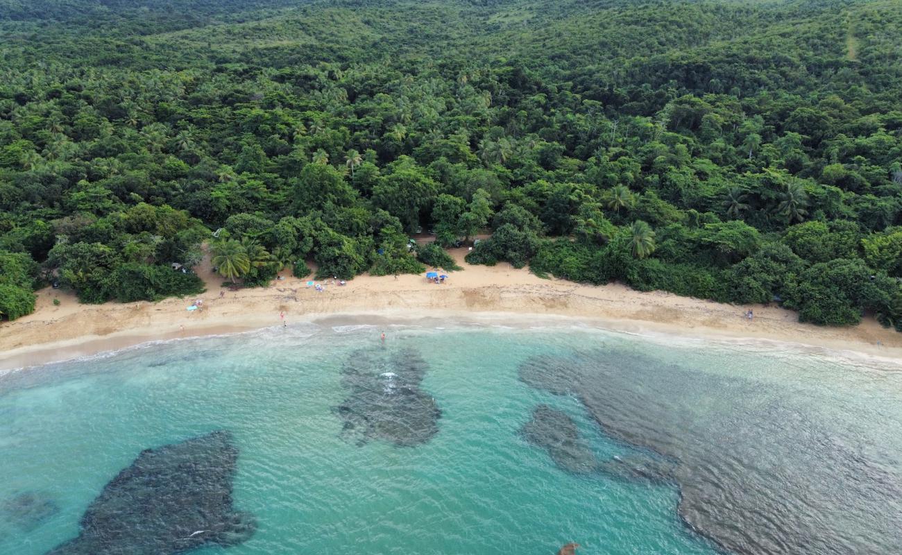 Photo of Playa La Selva with bright fine sand surface