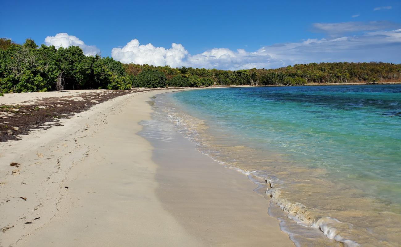 Photo of Playa Cayo Pineiro with bright fine sand surface