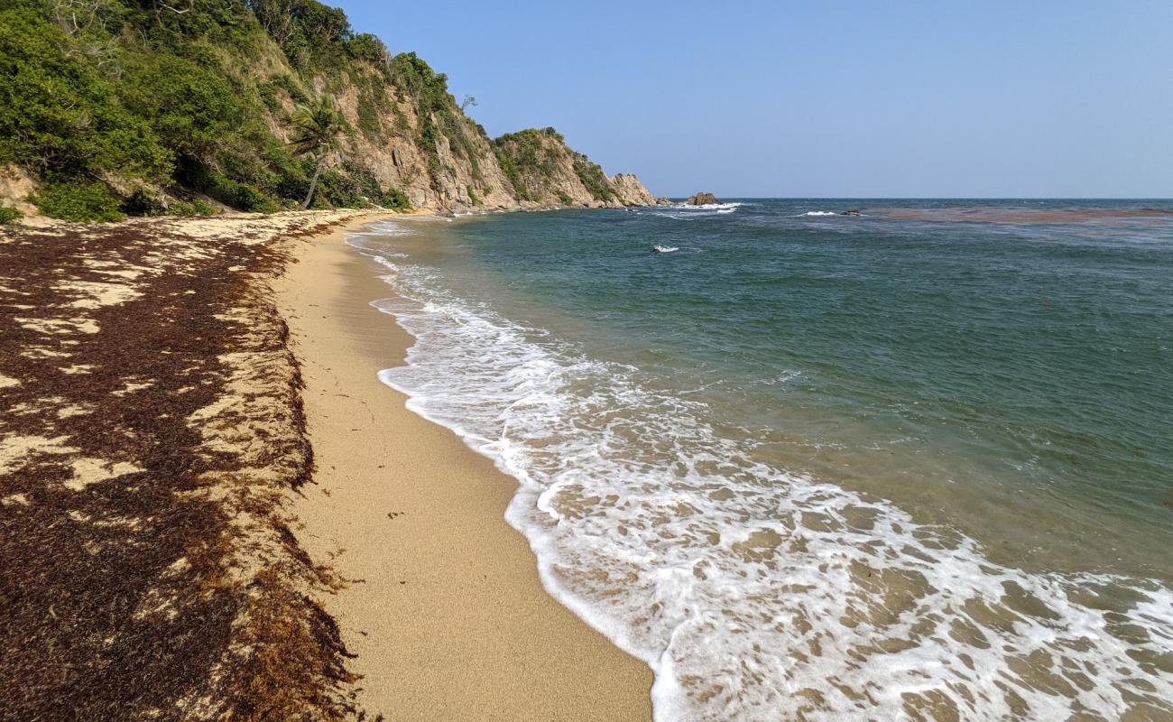 Photo of Playa Teresa with bright shell sand surface