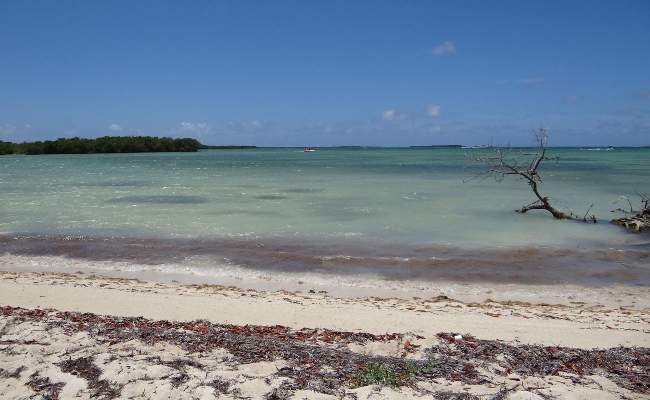 Photo of Playa Arenas area with bright sand surface